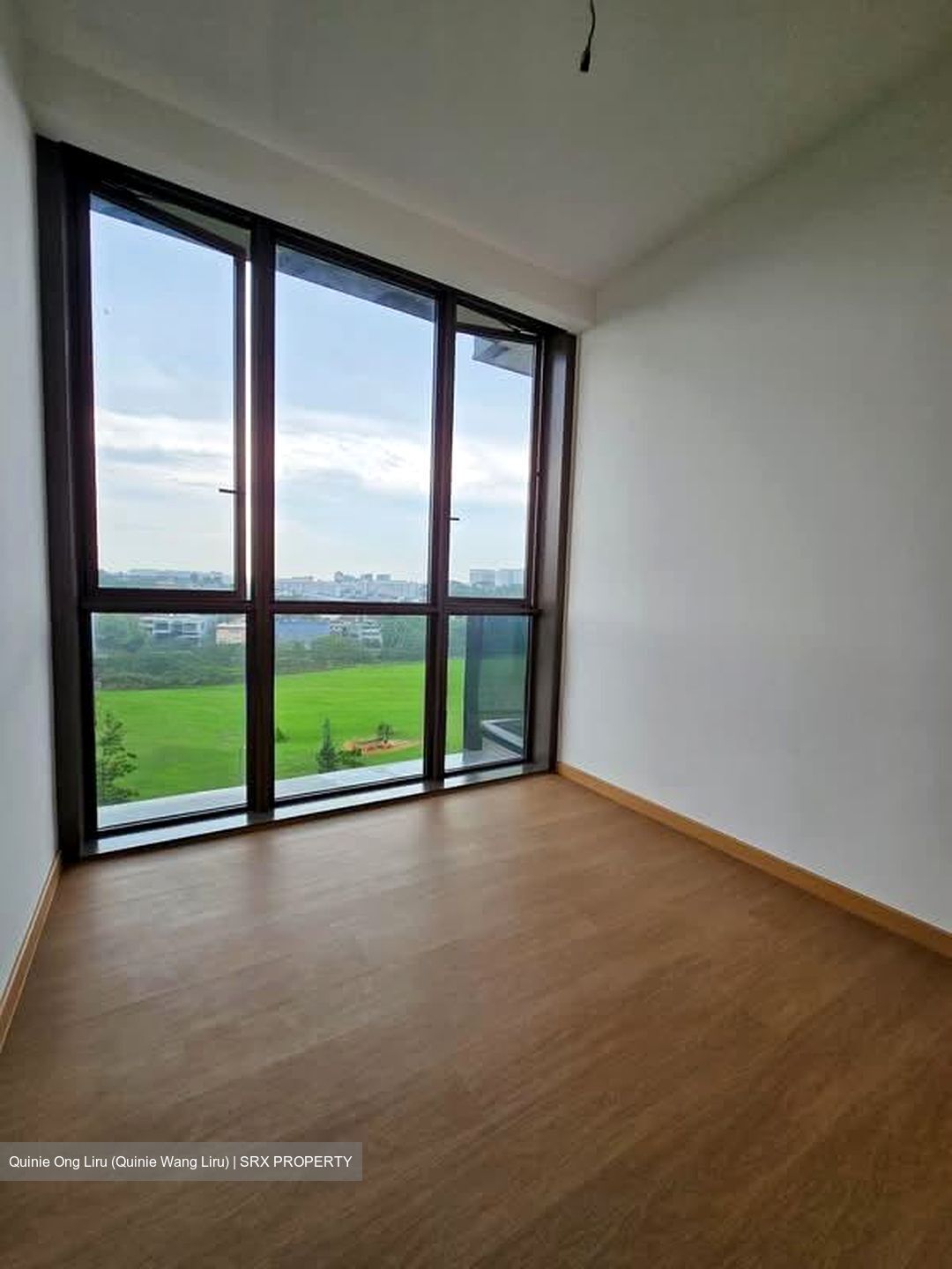 Dairy Farm Walk (D23), Condominium #594129951